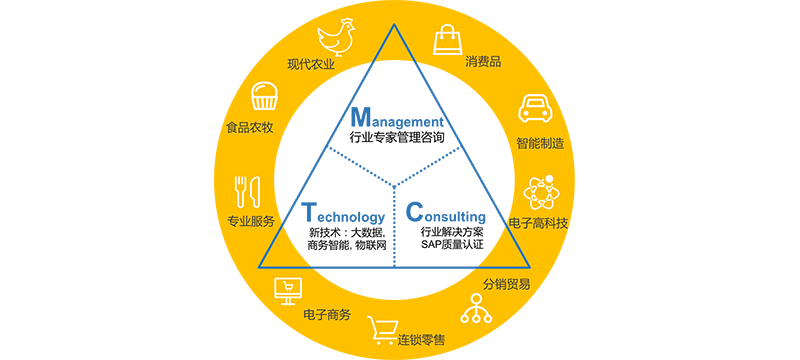 sap erp成功案例